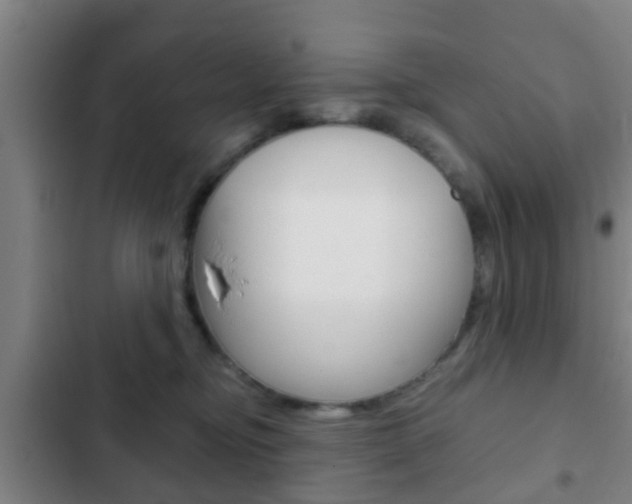 X0000103220374200808280932