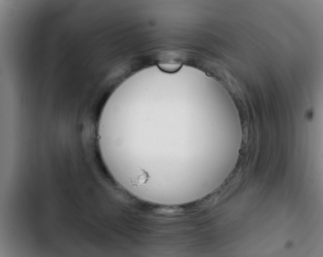 X0000103220375200808280932