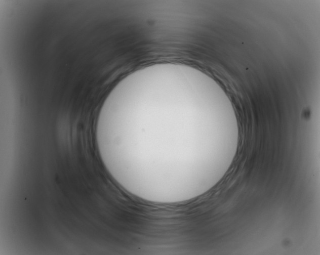 X0000103220376200808280932