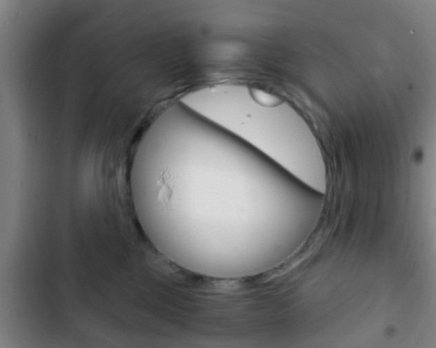 X0000103220377200808280932