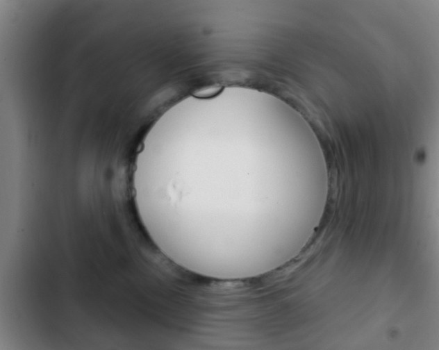 X0000103220378200808280932