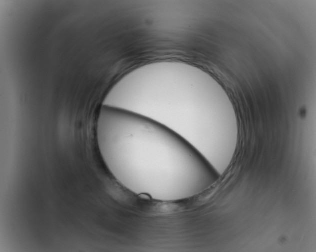 X0000103220379200808280932