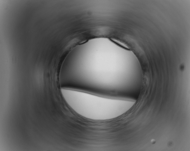 X0000103220380200808280932