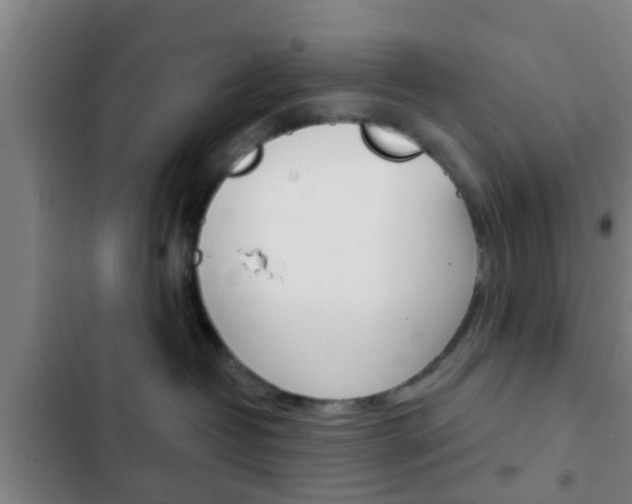 X0000103220382200808280932