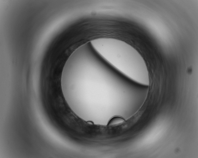 X0000103220383200808280932