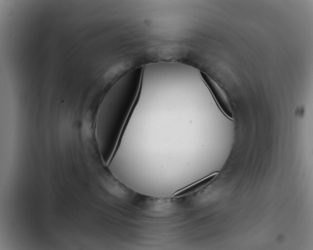 X0000103220384200808280932