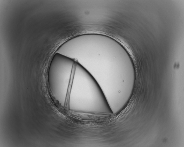 X0000103220385200808280931