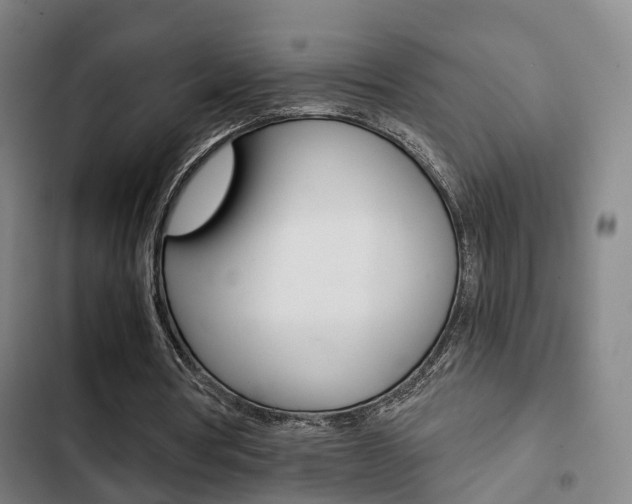 X0000103220386200808280931