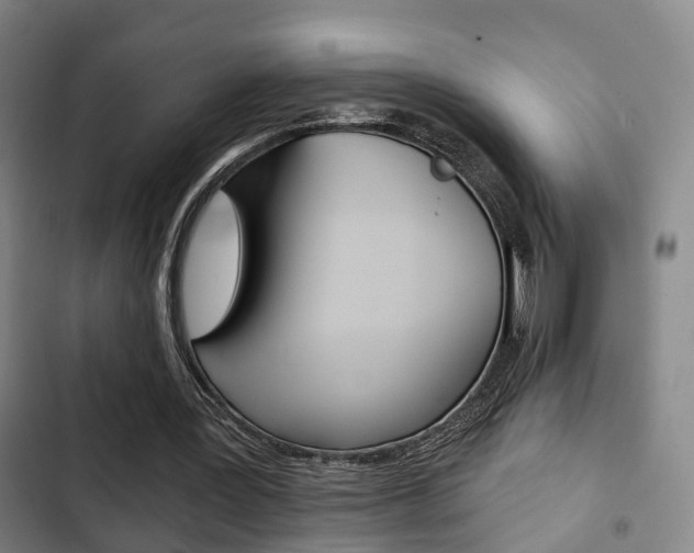 X0000103220387200808280931