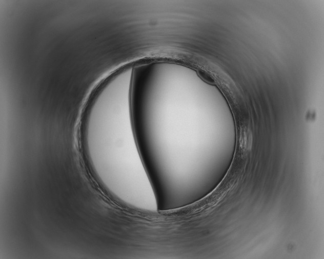 X0000103220388200808280931
