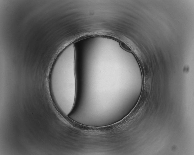 X0000103220389200808280931