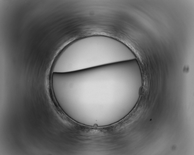 X0000103220390200808280931