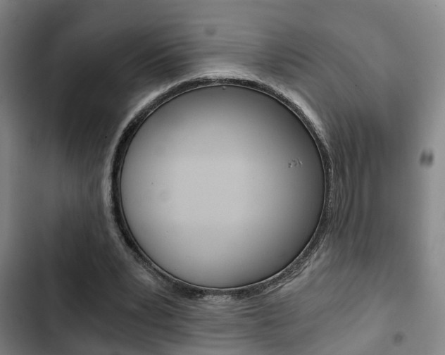X0000103220391200808280931