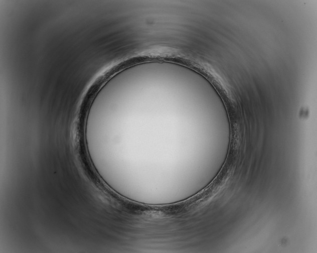 X0000103220392200808280931
