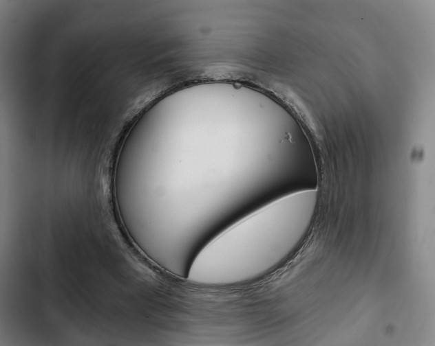 X0000103220393200808280931