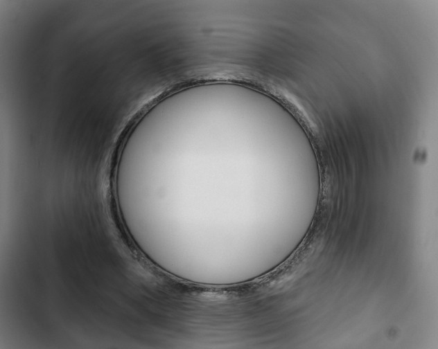 X0000103220394200808280931