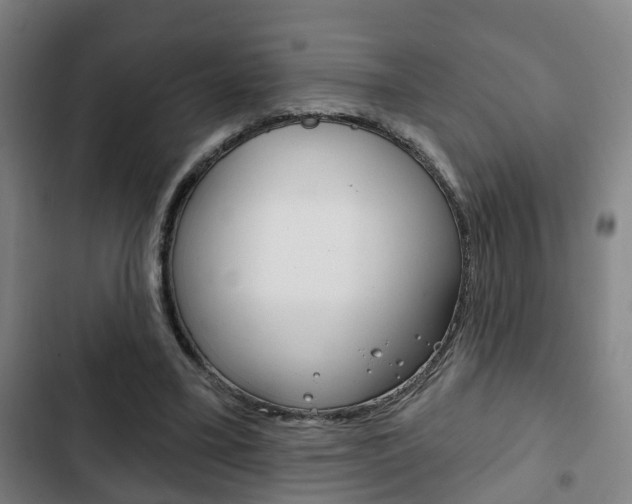 X0000103220395200808280931