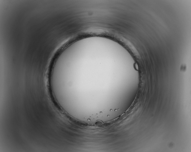 X0000103220399200808280931