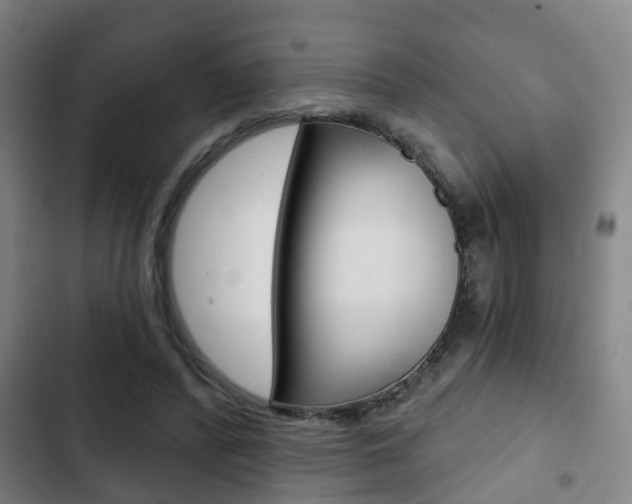 X0000103220400200808280931