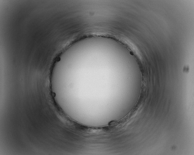 X0000103220401200808280931