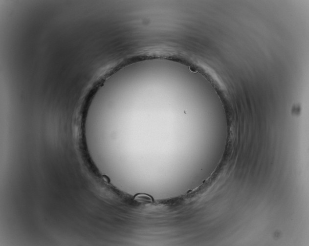 X0000103220403200808280931