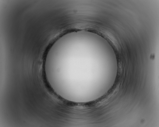 X0000103220404200808280931