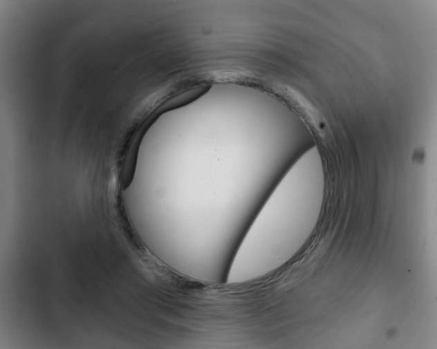 X0000103220405200808280931