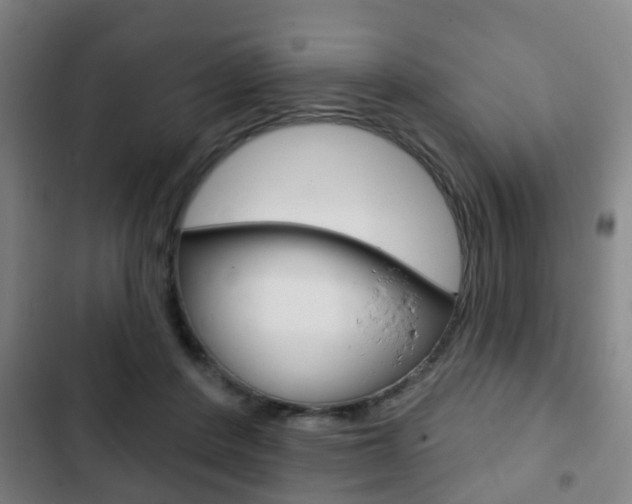 X0000103220408200808280931