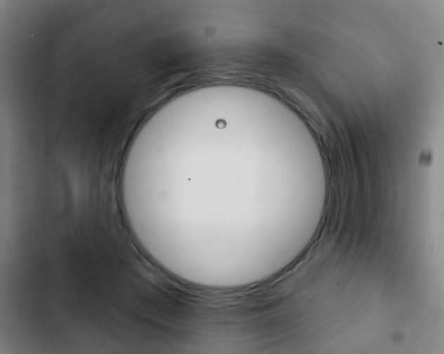 X0000103220409200808280931