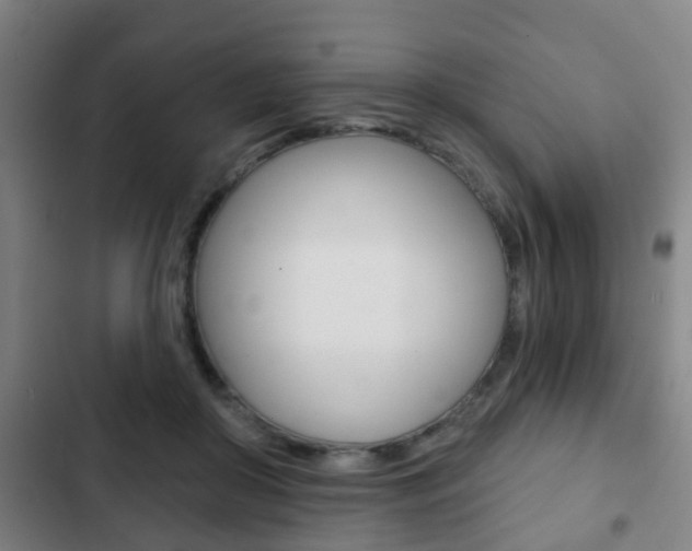 X0000103220410200808280931