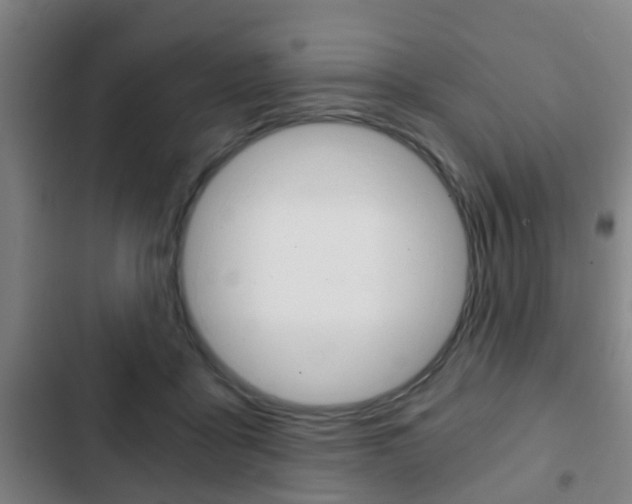 X0000103220411200808280931