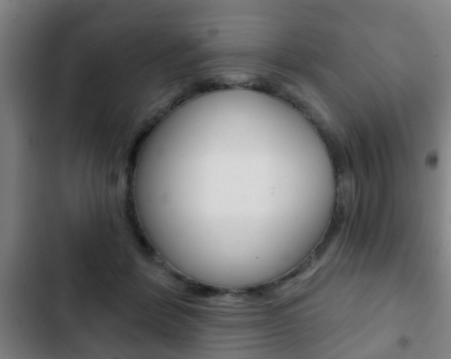 X0000103220412200808280931