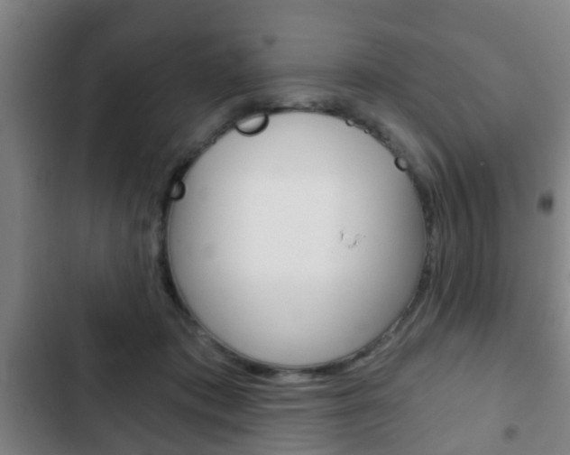 X0000103220413200808280931