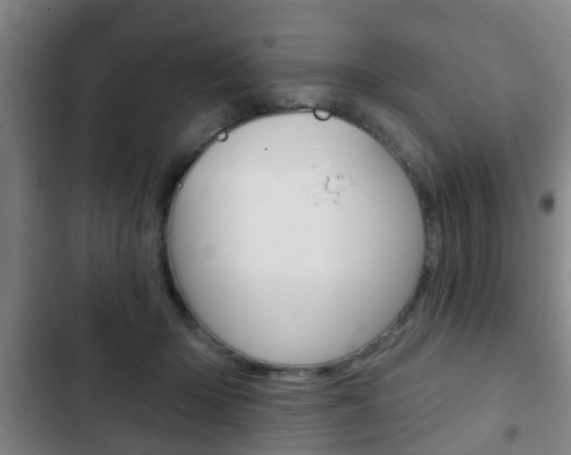 X0000103220414200808280931