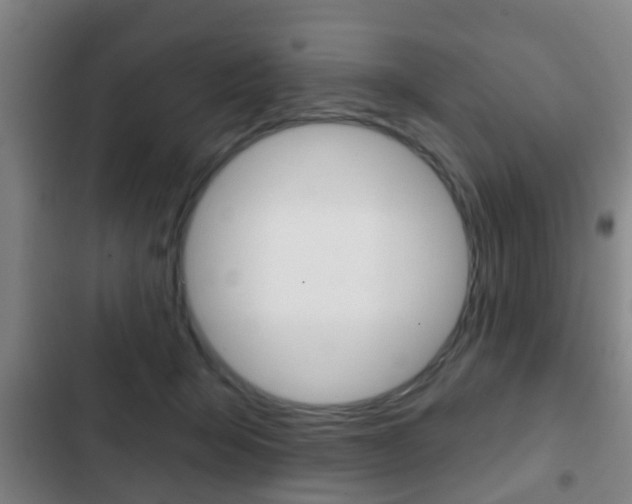 X0000103220415200808280931