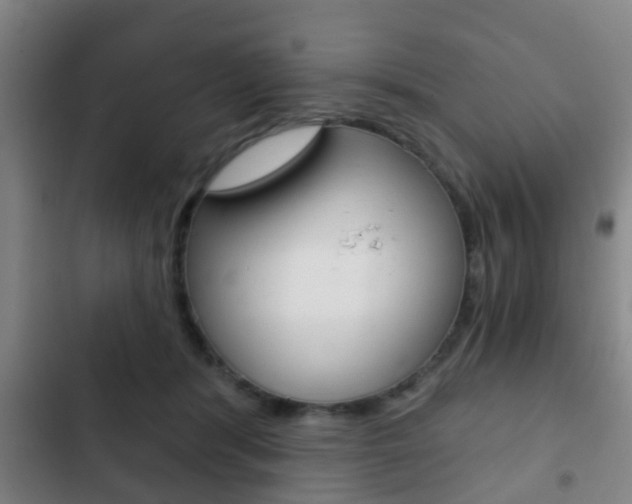 X0000103220416200808280931