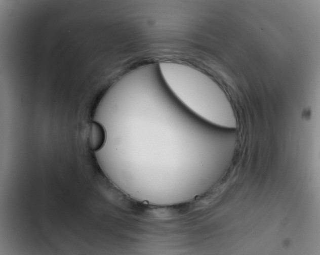 X0000103220417200808280931
