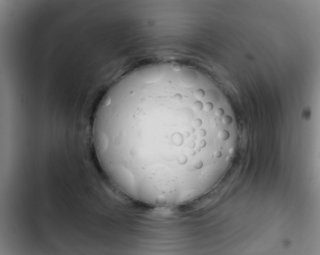 X0000103220418200808280931