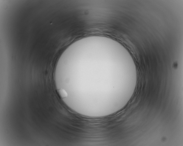 X0000103220419200808280931
