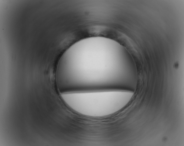 X0000103220420200808280931