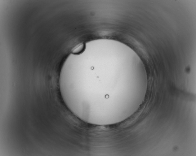 X0000103220421200808280931