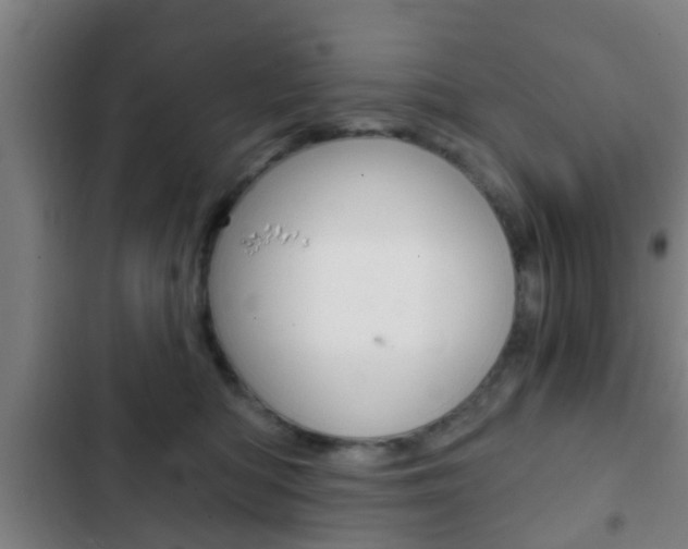 X0000103220422200808280930