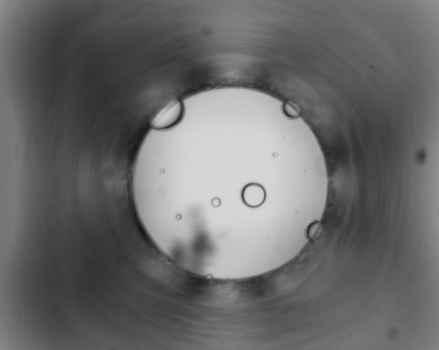 X0000103220423200808280930