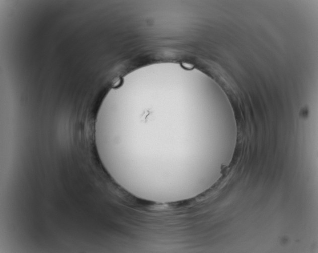 X0000103220425200808280930