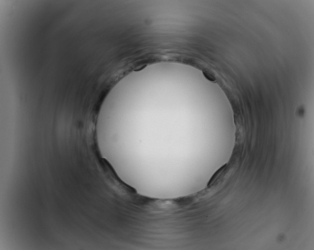 X0000103220427200808280930
