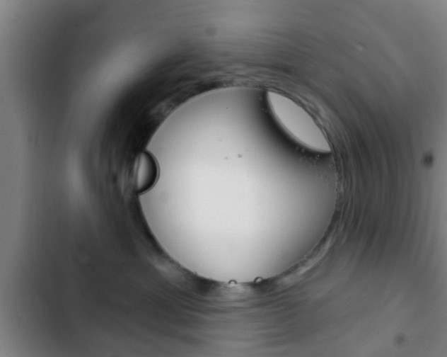 X0000103220429200808280930