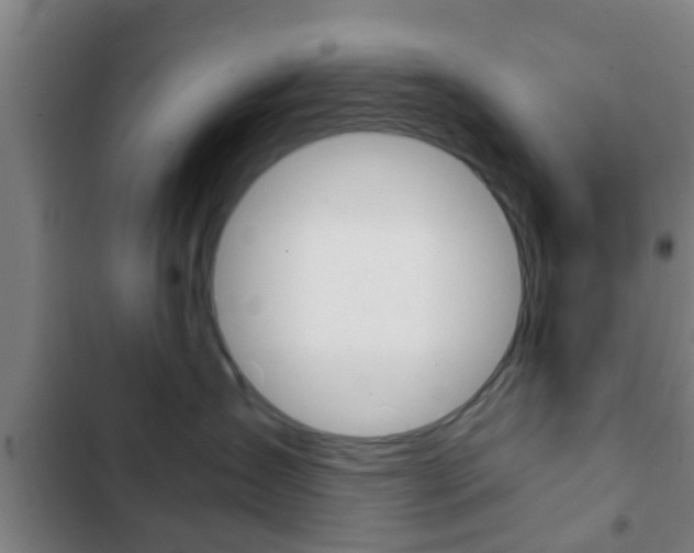 X0000103220431200808280930