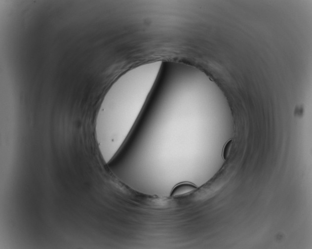 X0000103220432200808280930