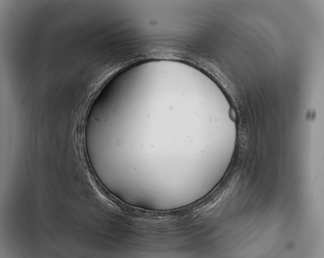 X0000103220433200808280930