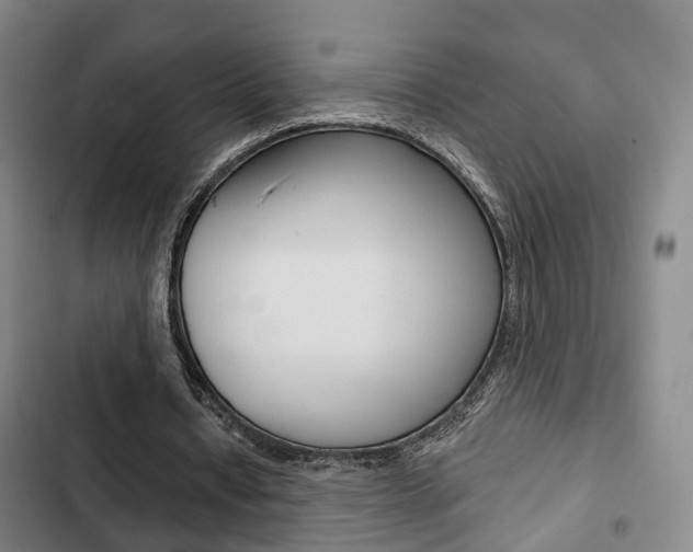 X0000103220434200808280930